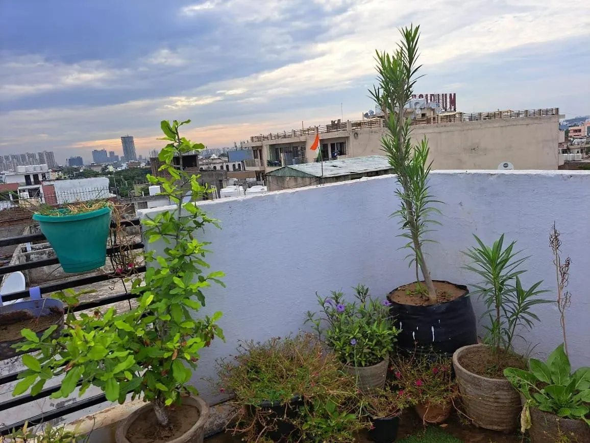 Private Room With Sky Garden In Green Bacchus By Walias Gurgaon India